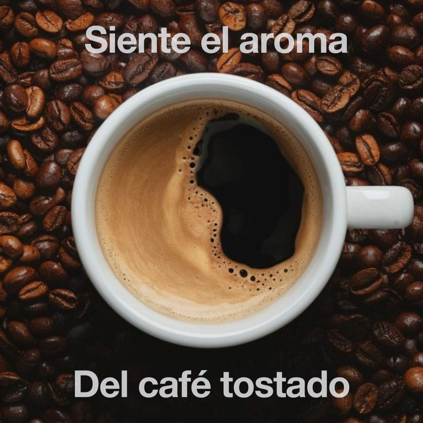 Café y Calma - Vela de Café